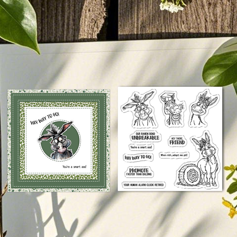 Suncraft Graduation Season Fun - Clear Silicone Stamps For Card Making recension och pris